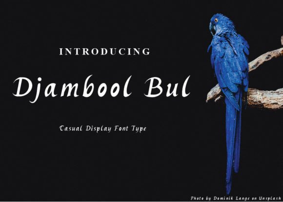 Djambool Bul: The Perfect Typeface for Polished Small Business Branding
