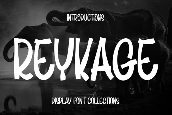 Reykage: The Premium Handwritten Display Font for Campaign Design