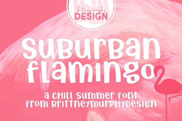 Why Suburban Flamingo Is the Perfect Display Font for Modern Campaigns